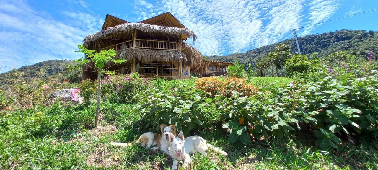 Ecohotel Soplo Del Tambo Cocorná Eksteriør bilde