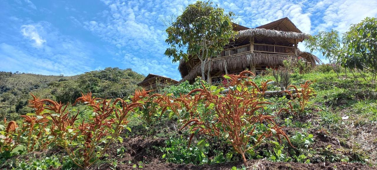 Ecohotel Soplo Del Tambo Cocorná Eksteriør bilde